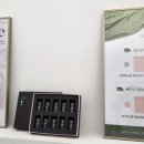 올가드림뷰티동구