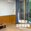 덕유산자연휴양림 | [무주] "덕유산 자연휴양림" 단풍나무 후기 / 자연속에서 힐링 제대로!