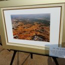 태장초교 이미지