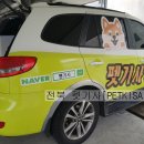 멍냥 펫택시 이미지