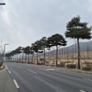 도청대로 이미지