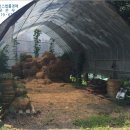 창2리경로당 이미지