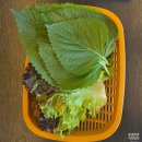 UR(경산시)-[삼성현로]-상-20 | 경산 I 고기요기 경산(한우 투뿔 정육 캠핑식당, 애견동반) 후기