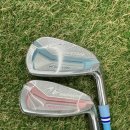 아이언(IRON) | 봉담 골프샵 제스타임 포니테일 여성 아이언 시타 후 구매 후기디자인 예쁜 IRON 추천