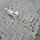 온누리 동물의료센터 이미지