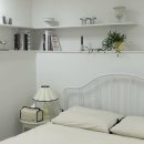 도그데이 이미지