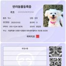 파이리코 이미지
