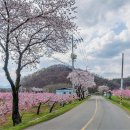 용성주유소 이미지