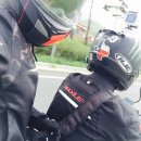직진투어 이미지