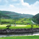 풍일로(일직면) 이미지