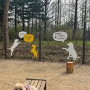 CW-0800-01 이미지