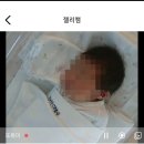 라솜산후조리원 창경궁지점 | 라솜산후조리원 창경궁점 2주 후기 <호산병원출산>