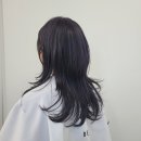 초이스헤어디자인