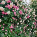 이곡공원앞 이미지