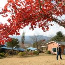 거창읍-6 이미지