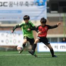 한국축구 팬은 똑똑합니다. 이미지
