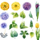 그린화장품 이미지