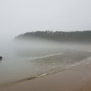 꾸지나무골해수욕장 이미지