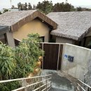 사누르 제주 이미지