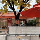 용산-363 | [서울/용산] 상큼한 레몬샷이 시그니처인 카페 - 카페슈스(@cafe_shush_)