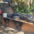 쌍향수길 | 순천 외서면에 숨겨진 인생 맛집 신촌국밥