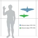 비둘기모사 | 중생대생물 새종류 백악기시대의 물고기새 이크티오르니스
