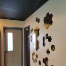 애플스토리 이미지