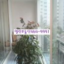 구월1동-28 이미지