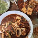 대전맛집 풍자 또간집 광천식당 오징어두루치기 양념면 내돈내산 찐후기
