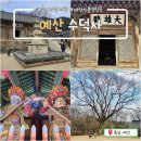 수덕사 선미술관 | 충남 예산 수덕사_화려하지 않지만 웅장한 천년고찰 여행(ft.수덕여관, 선미술관)