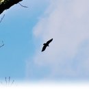 대청호반 이미지