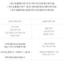 도토리플