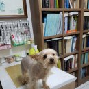 통영시청 제1청사 이미지