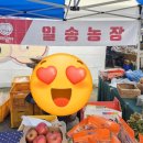 일송농장 이미지