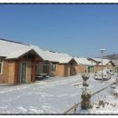 연천 통나무 펜션 이미지