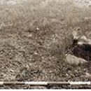 신원4리 이미지