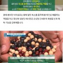 콩깍지 이미지