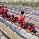 솔빛농장 이미지