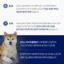 소래동물병원 이미지