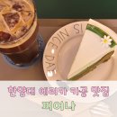 한양대 에리카 카페 피어나, 카공하기 좋은 디저트 맛집