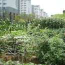 김순영 농장 이미지