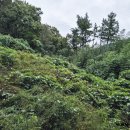 우성타이어 | 10월 월간 육아일기 남매일상 명절후기