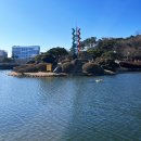 연못들2 | 대전 카이스트 오리연못, 넙죽이 브랜드 굿즈샵 방문기