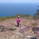 정동진새꼬시 이미지