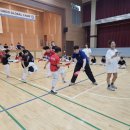 용인대스타태권도 이미지