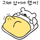 언니코스메틱