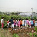 상아농장 이미지