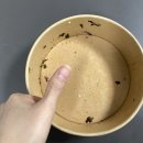 샐러드얌
