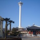 BIFF광장 이미지