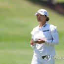 그린(527) 이미지